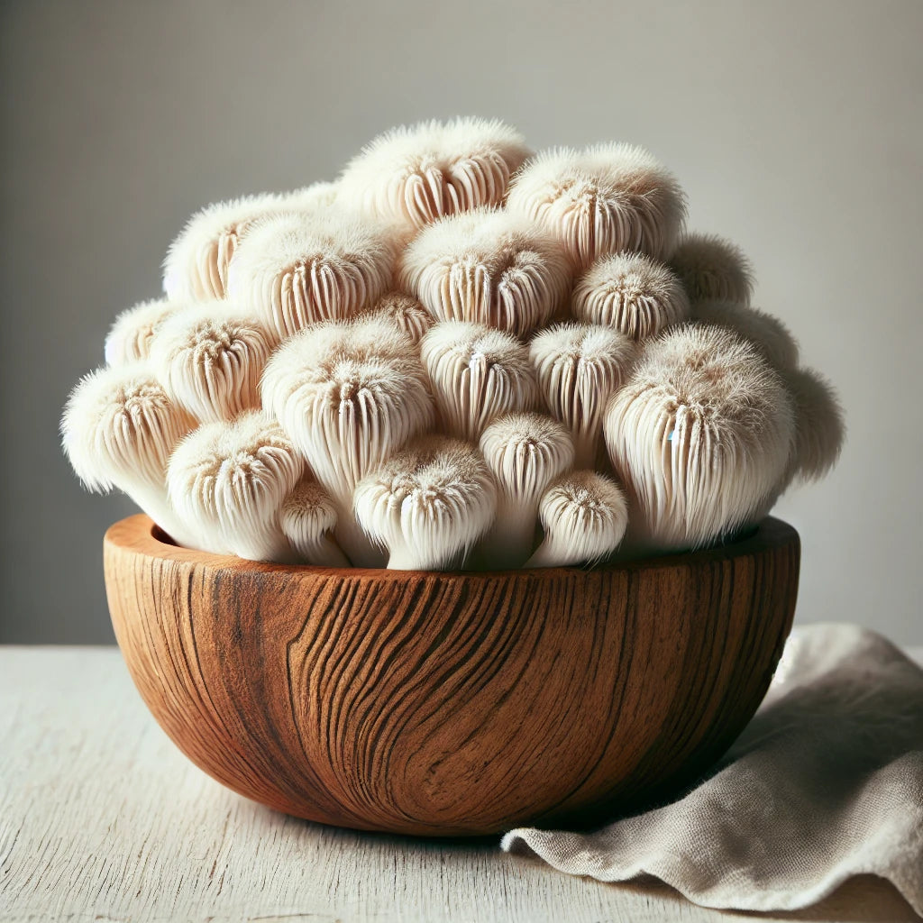 Lion’s Mane Mushroom (Fresh)