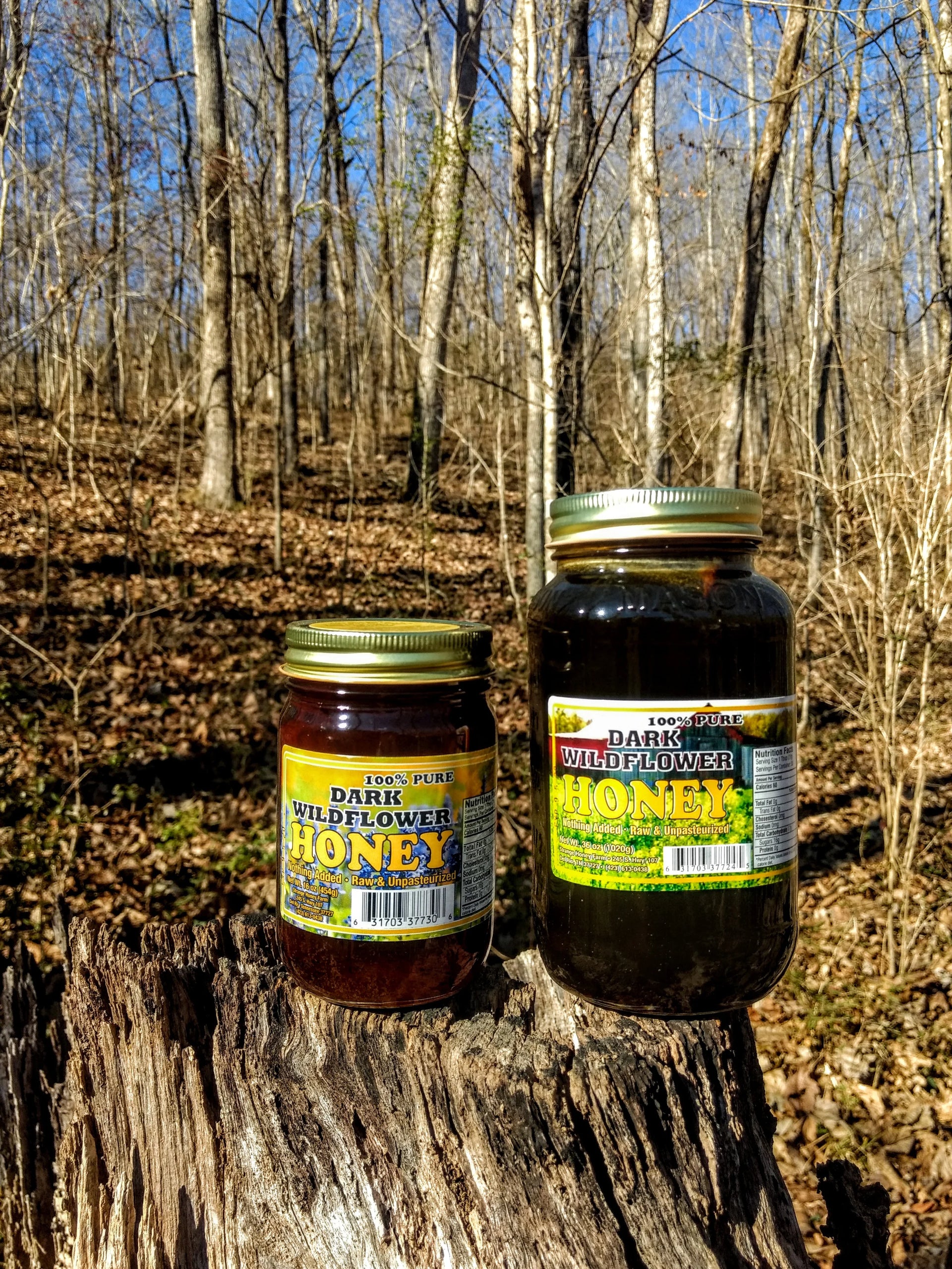 Raw Tennessee Mountain Honey – Radical Shoots