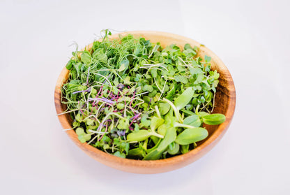 Assorted Microgreen Box (aka Chef's Mix)