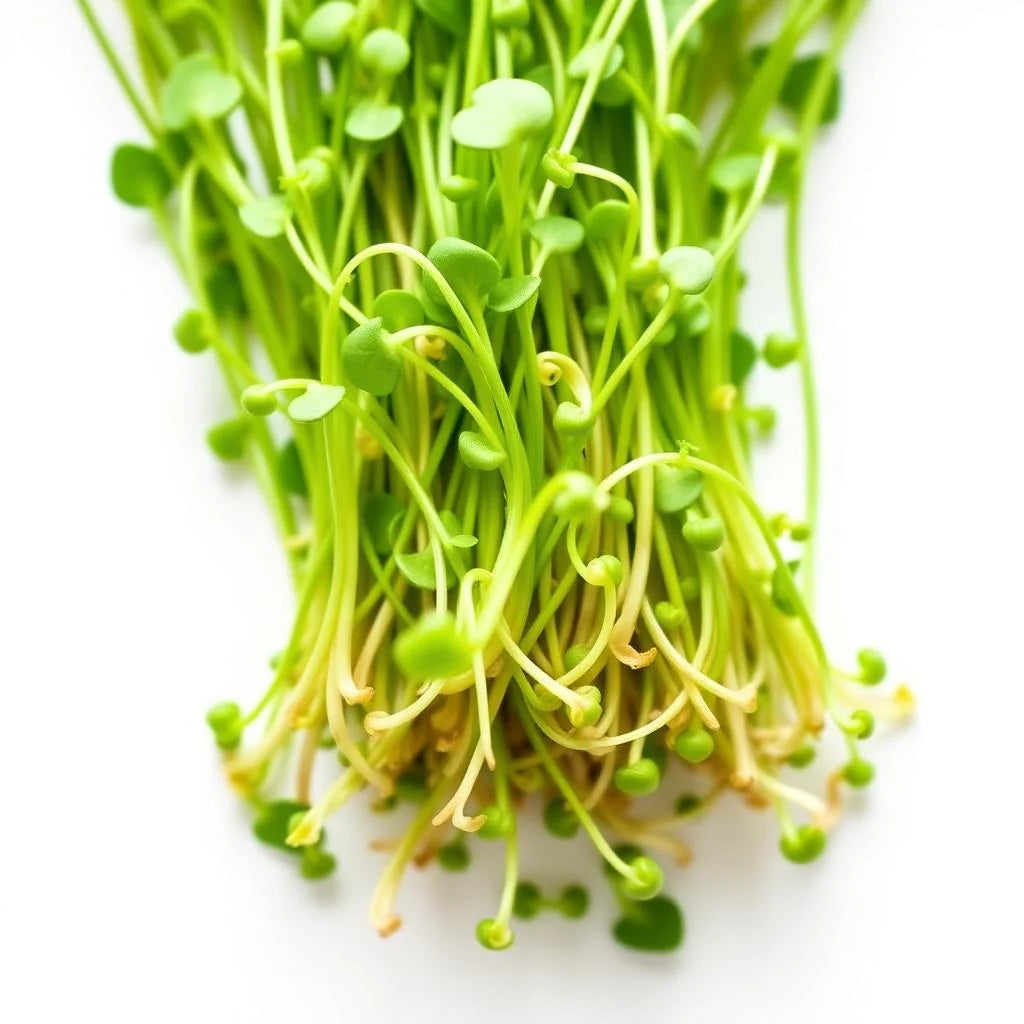 Pea Shoot Microgreens