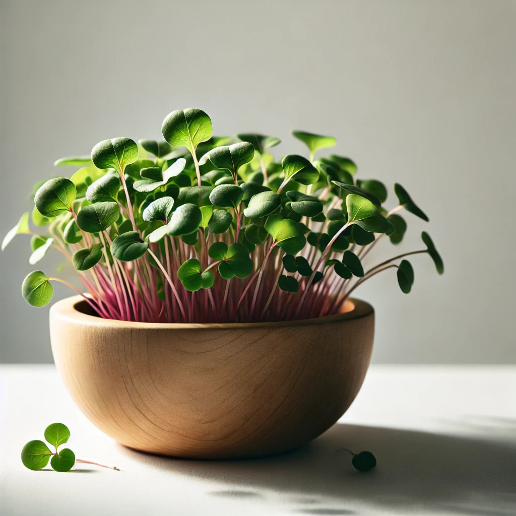 Radical Radish Microgreens